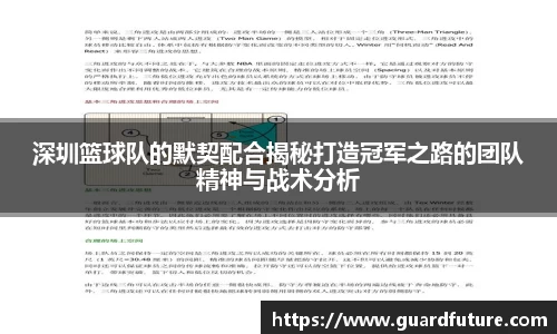 深圳篮球队的默契配合揭秘打造冠军之路的团队精神与战术分析